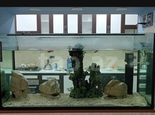 Akvarium 200 lt