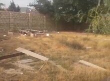 30 sot torpaq sahəsi, Saray qəs.