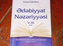 Ədəbiyyat nəzəriyyəsi 