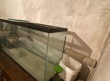 Akvarium 