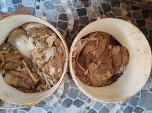 Quzu qarını
