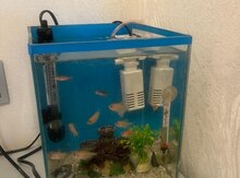Akvarium 
