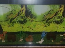 Akvarium