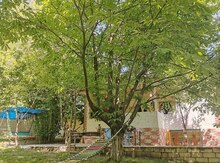 Bağ evi kirayə verilir, Qəbələ r