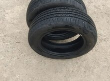 Şinlər R15