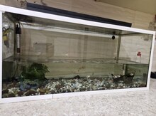 Akvarium