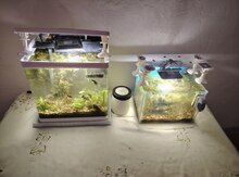 Akvarium