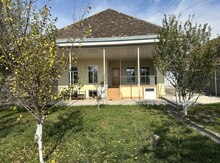 Həyət evi kirayə verilir, Şəki ş.