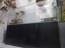 Akvarium