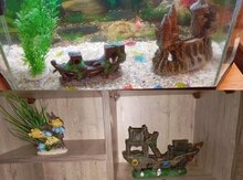 Akvarium 