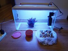 Akvarium