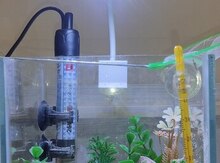 Akvarium