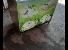 Dondurucu kamera 