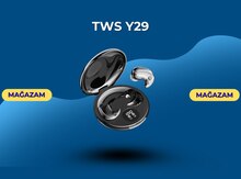 TWS Y29