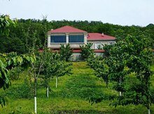 Bağ evi kirayə verilir, Quba r.