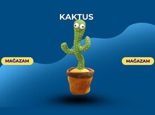 Kaktus