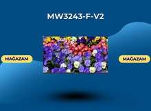 Televizor "MW3243-F-V2"