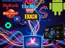 IP TV kanalların yazılması