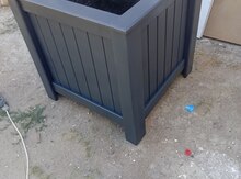 Gül dibçəkləri