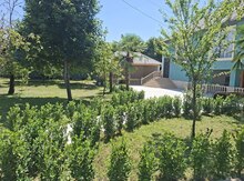 Bağ evi kirayə verilir, İsmayıllı r.