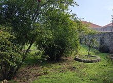 6 sot torpaq sahəsi, Pirşağı qəs.