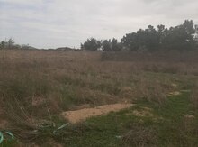 12 sot torpaq sahəsi, Qala qəs.