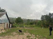 10 sot torpaq sahəsi, Qusar r.