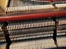 Piano və royal köklənməsi