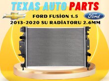 "Ford Fusion" su radiatoru