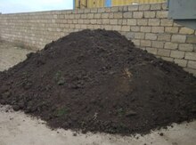 Qara torpaq