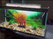 Akvarium