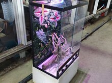 Terrarium