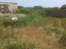 2 sot torpaq sahəsi, Susaq qəs.