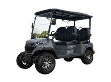 Golfcar Zongshen, 2025 il