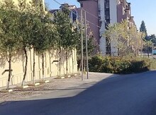 3 sot torpaq sahəsi, Zaqatala ş.