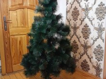 Yeni il ağacı