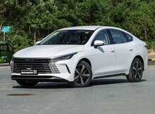 BYD 2025, icarəsi
