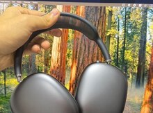 Apple AirPods Max Space Gray
