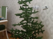 Yeni il ağacı