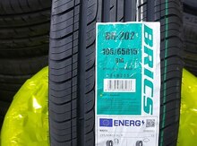 Brics şinləri 195/65 R15 