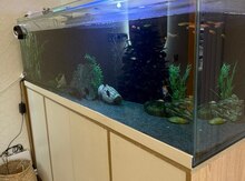 Akvarium