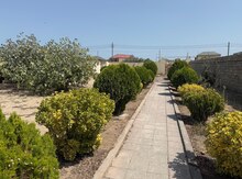 22 sot torpaq sahəsi, Nardaran qəs.