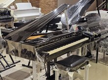 Electro royal Kawai Dj-30