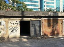 Qaraj icarəyə verilir, 8 Noyabr m.