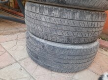 Şinlər 235/55 R19