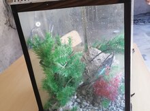 Akvarium
