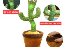 Oyuncaq kaktus