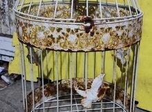 Клетка железная 