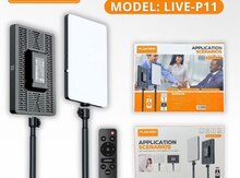 Plokama Live P11