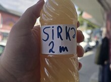 Alma sirkəsi 